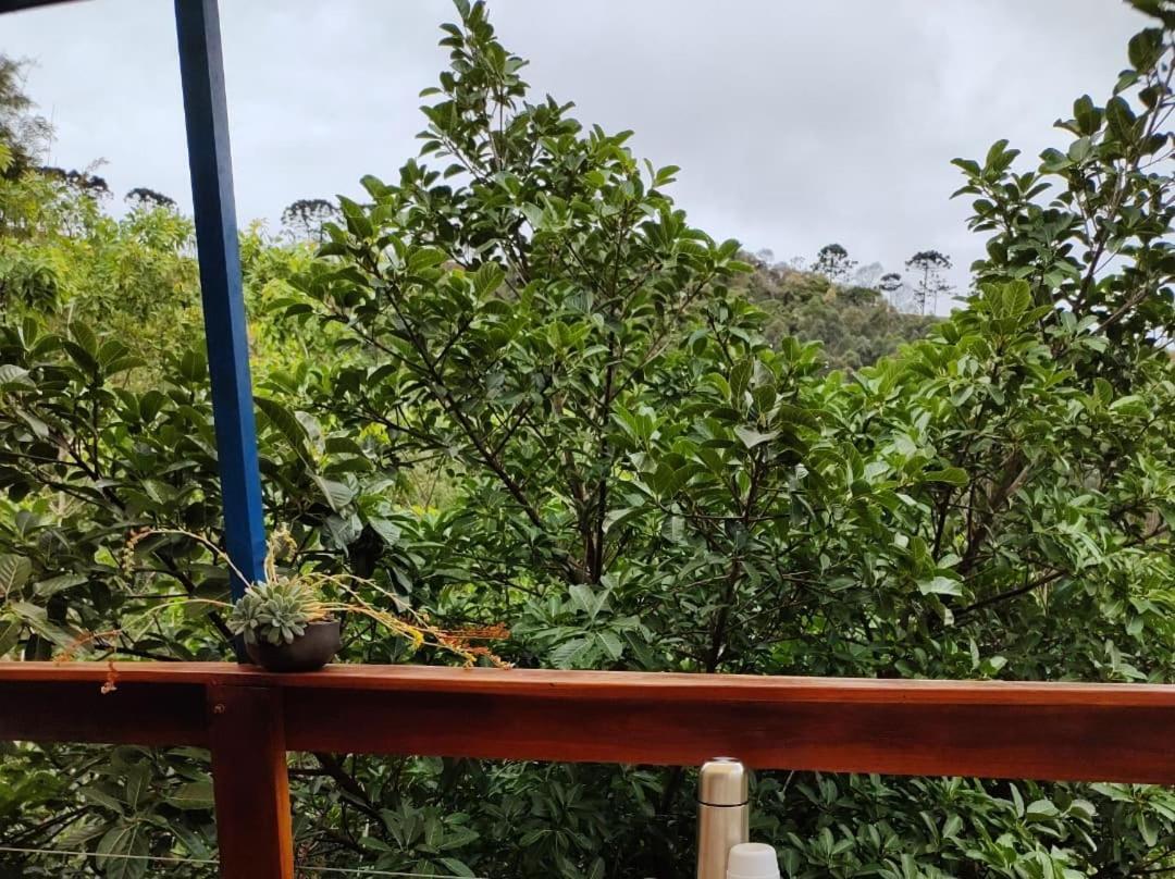 Chales Agua Azul Санту-Антониу-ду-Пиньял Экстерьер фото